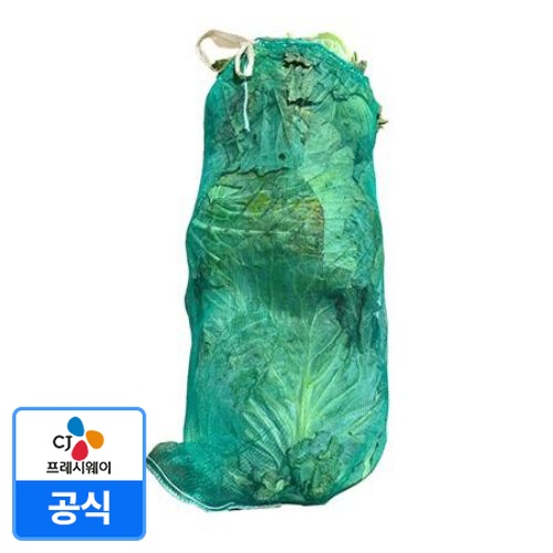 [CJ직배송]🌱양배추( 3입_8kg내외_40망 8Kg/EA)