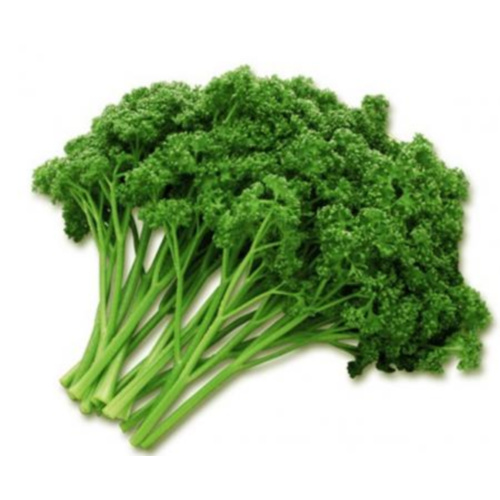[다봄푸드] 파슬리 1kg (생,특수야채)