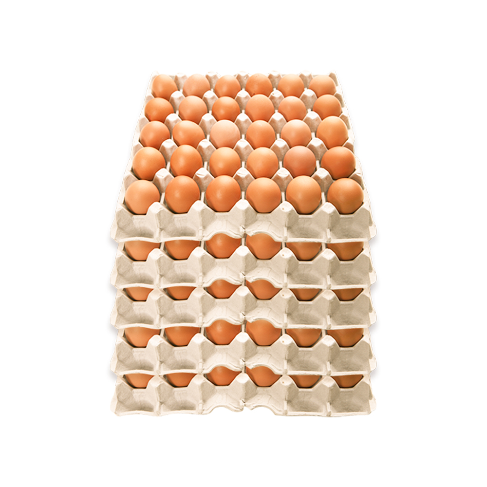 계란(대란) 5판 30알X5판 묶음판매