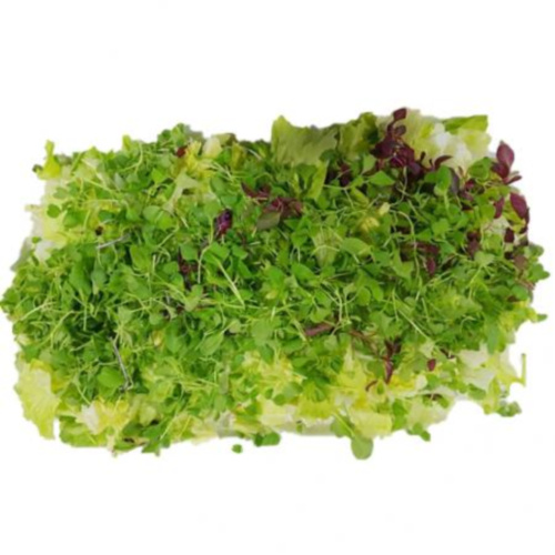 [다봄푸드] 베이비순 50g (어린순,팩,소,국내산)